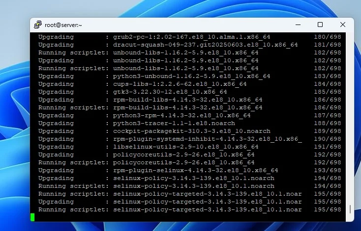almalinux-guncelleme-hatasi-1.webp