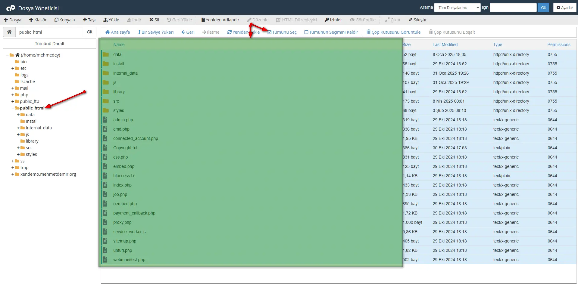 cpanel-dosya-yonetici-ftp-yedegi-alma-2.webp