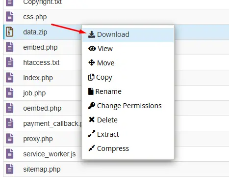 cpanel-dosya-yonetici-ftp-yedegi-alma-6.webp