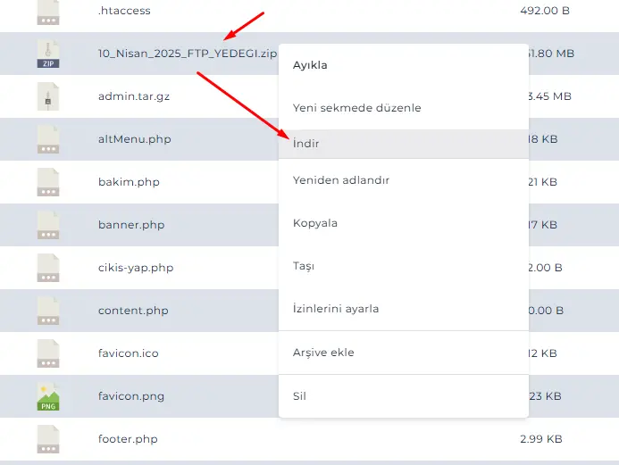 directadmin-dosya-yonetici-ftp-yedegi-alma-6.webp