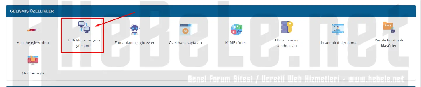directadmin-full-yedek-alma-islemi-2.webp