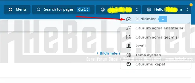 directadmin-full-yedek-alma-islemi-6.webp