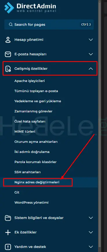 directadmin-nginx-yapilandirmasi-1.webp