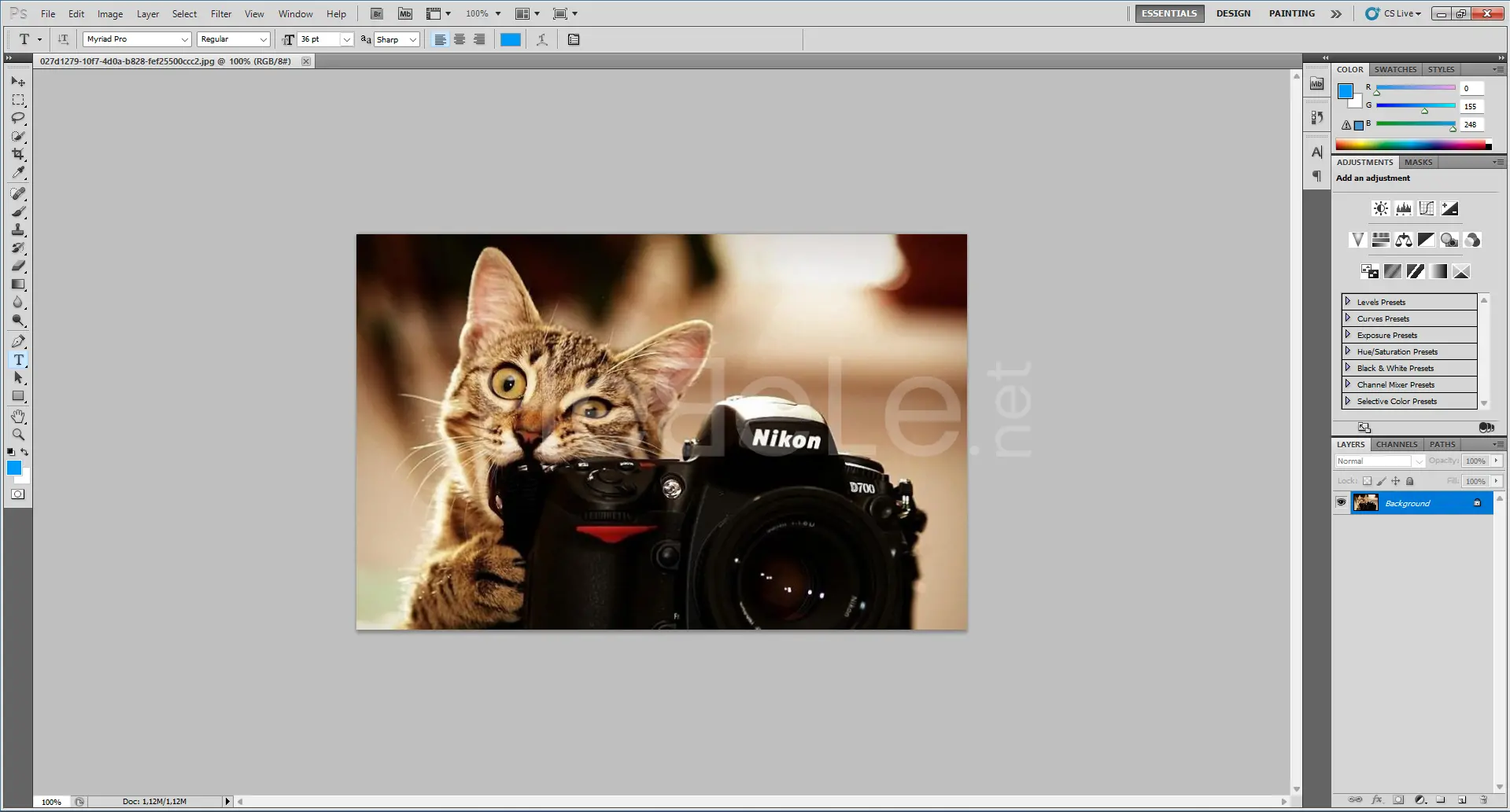 photshopta-dpi-nasil-degistirilir-1.webp