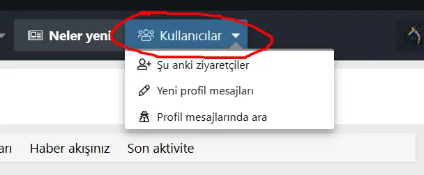 xenforo-nav-menu-color.webp