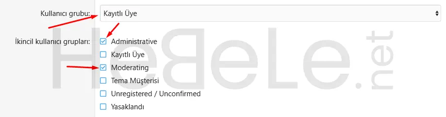 xenforo-uye-gruplari-atamalari-1.webp