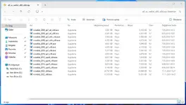 wampserver-kurulumu-5.webp
