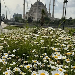 Adana Sabancı Merkez Camii 1