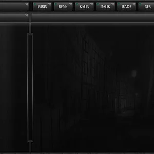 flatcast-tema-49.webp