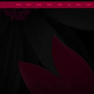 flatcast-tema-82.webp