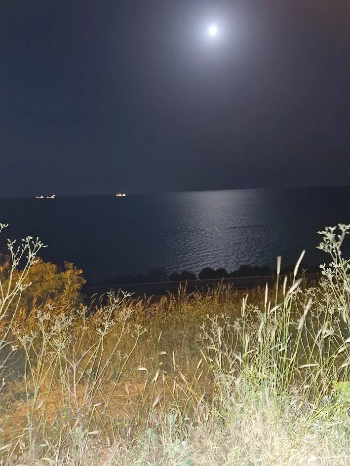 Tekirdağ / Marmarareğlisi - Sultanköy Mahallesi